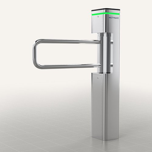 Disability Gate P Gate